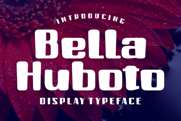 Bella Huboto: A Modern Display Font for Bold Campaigns